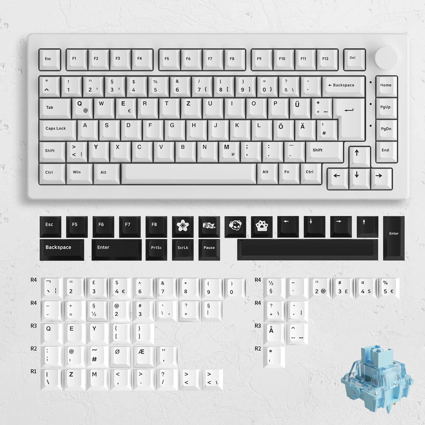 5075B plus 75% Hot Swap Multi-Modes RGB Mechanical Gaming Keyboard 2.4Ghz Wireless/Usb Type-C/Bluetooth 5.0