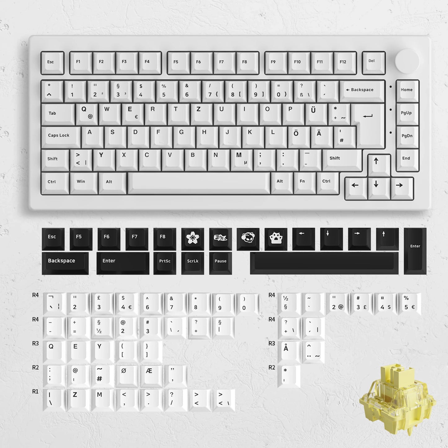 5075B plus 75% Hot Swap Multi-Modes RGB Mechanical Gaming Keyboard 2.4Ghz Wireless/Usb Type-C/Bluetooth 5.0