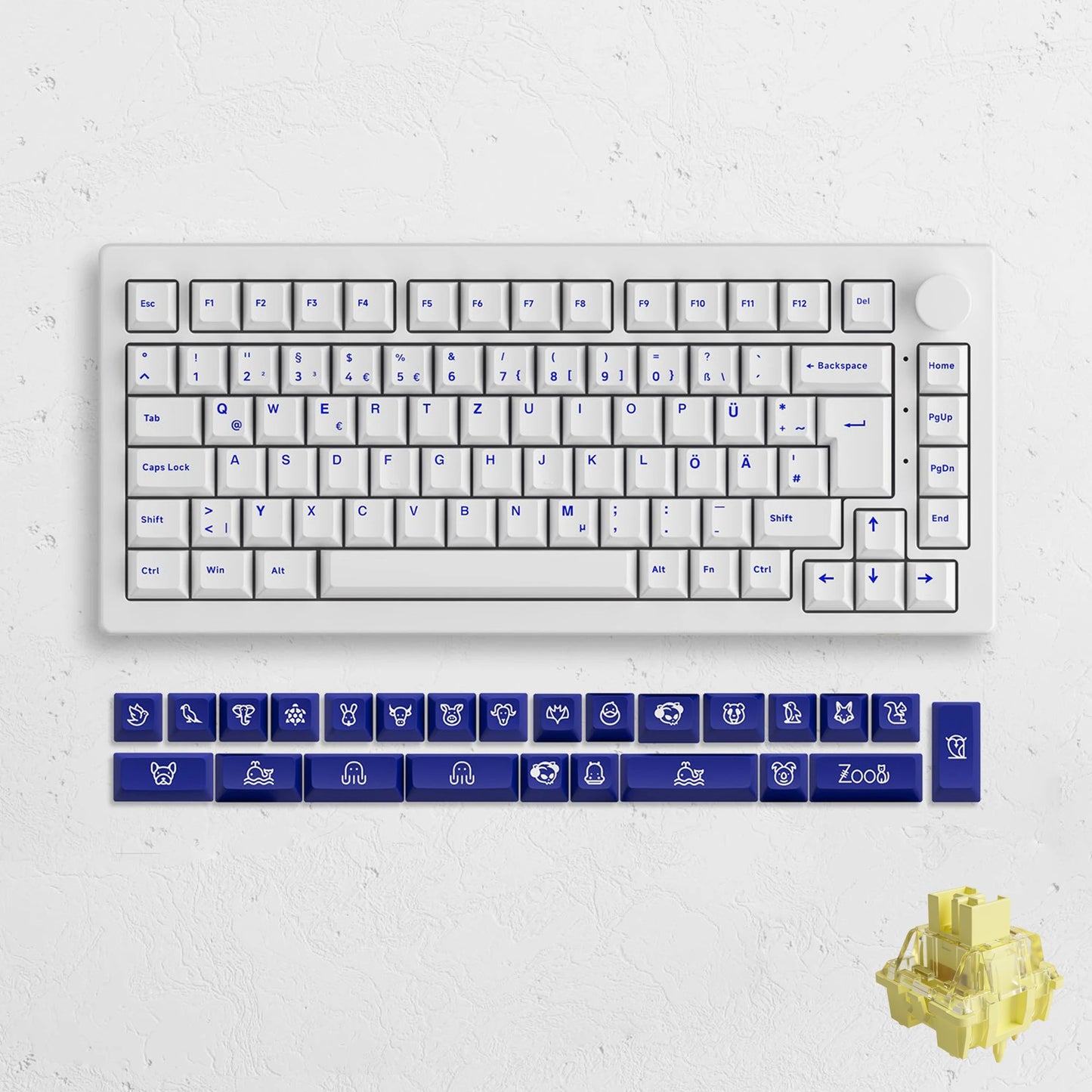5075B plus 75% Hot Swap Multi-Modes RGB Mechanical Gaming Keyboard 2.4Ghz Wireless/Usb Type-C/Bluetooth 5.0